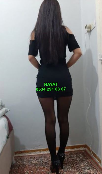 image BWHQCWK3ZX